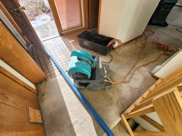 Best Water damage restoration near me  in Erlanger, KY