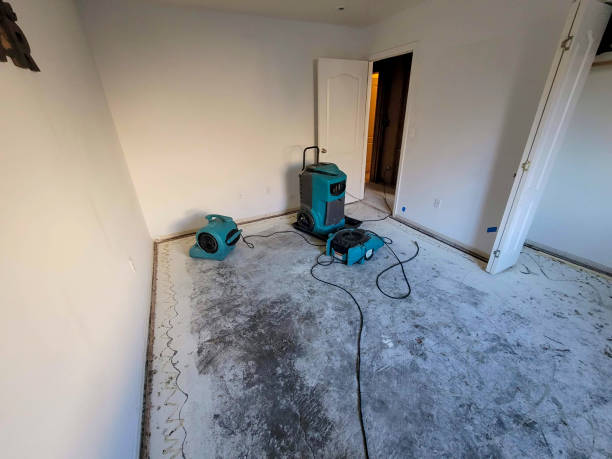Best Flooded house restoration  in Erlanger, KY