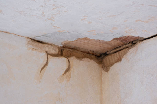 Best Flood damage cleanup  in Erlanger, KY
