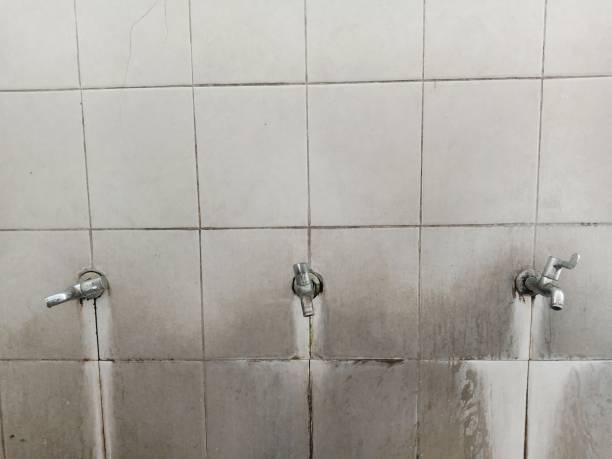 Best Flood restoration services  in Erlanger, KY