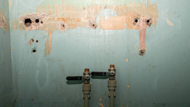 Best Water damage restoration services  in Erlanger, KY