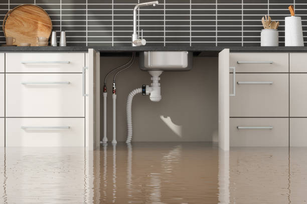 Best 24/7 water damage repair  in Erlanger, KY