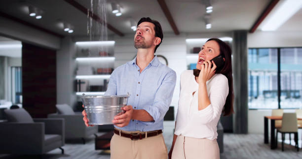 Best Water damage restoration experts  in Erlanger, KY
